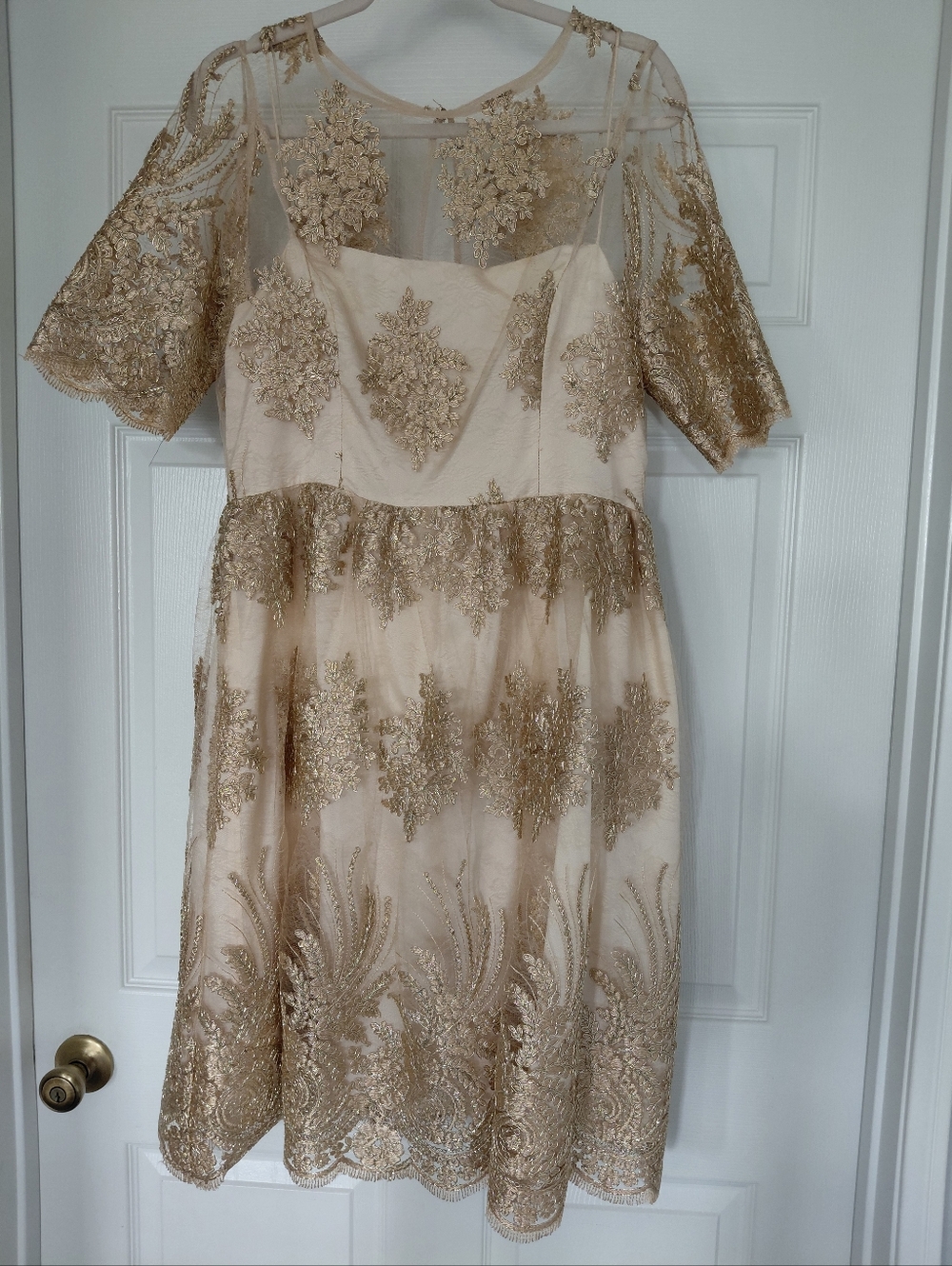 Adrianna Papell Champagne and Gold Embroidered Cocktail Dress